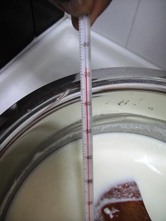 cy01cz02temperature homemade yorgurt cream cheese