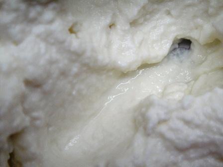 cy01cz07wateroozing homemade yorgurt cream cheese