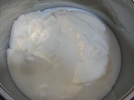 cy02cz01yogurt  yogurt cream cheese