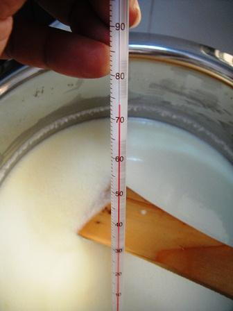 cy02cz02thermometer  yogurt cream cheese