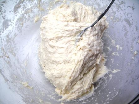 sponge ready to ferment to plain bread dough