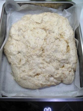 bread with yeast