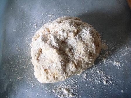 pz01b05torollflour wet dough